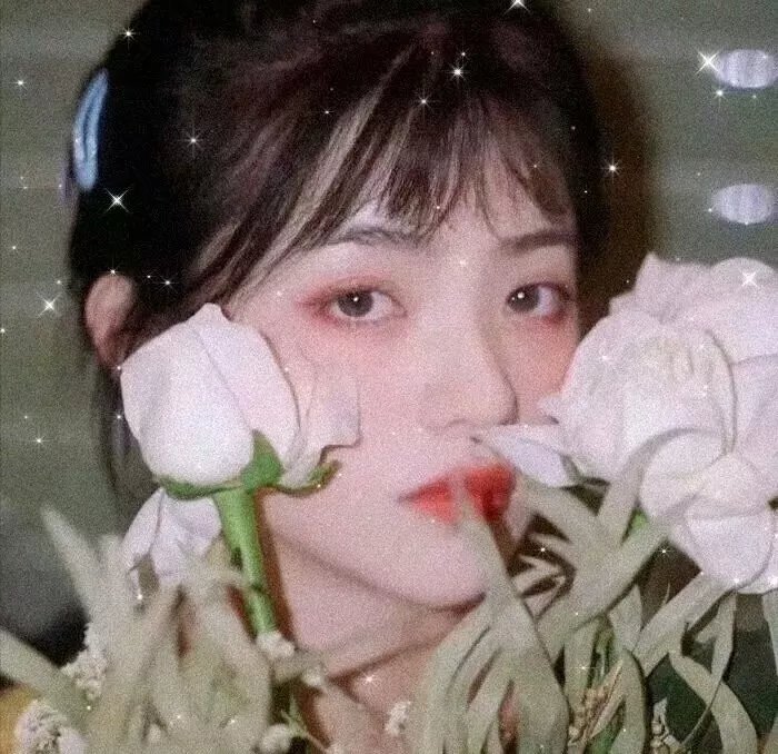 芳心魔术师